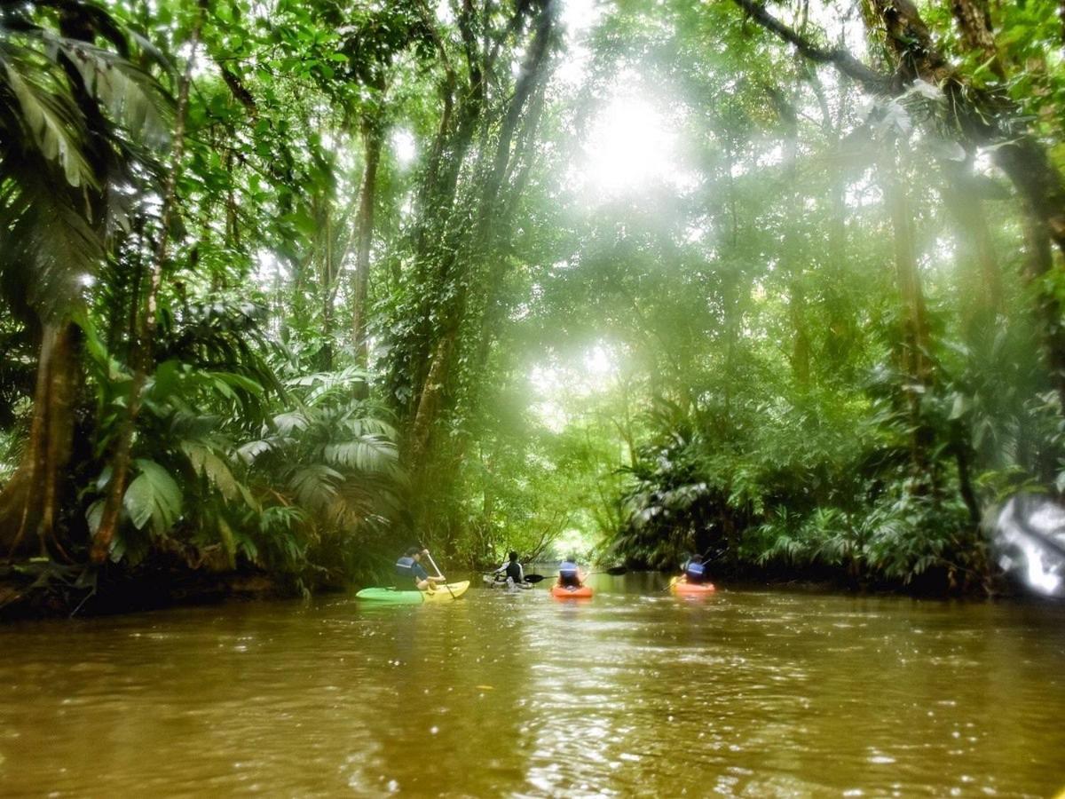 Caribbean View House Hotel Tortuguero Buitenkant foto