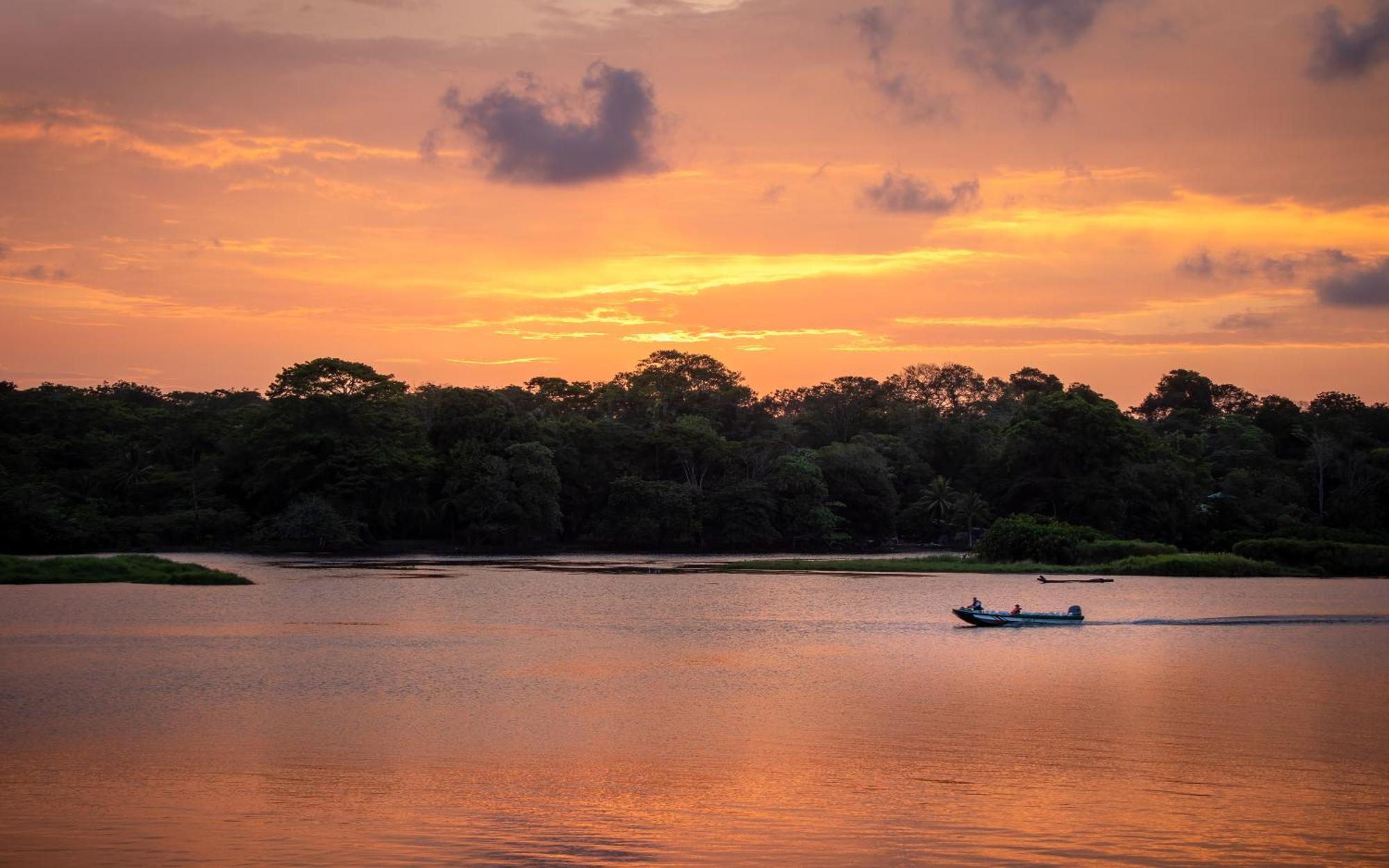 Caribbean View House Hotel Tortuguero Buitenkant foto