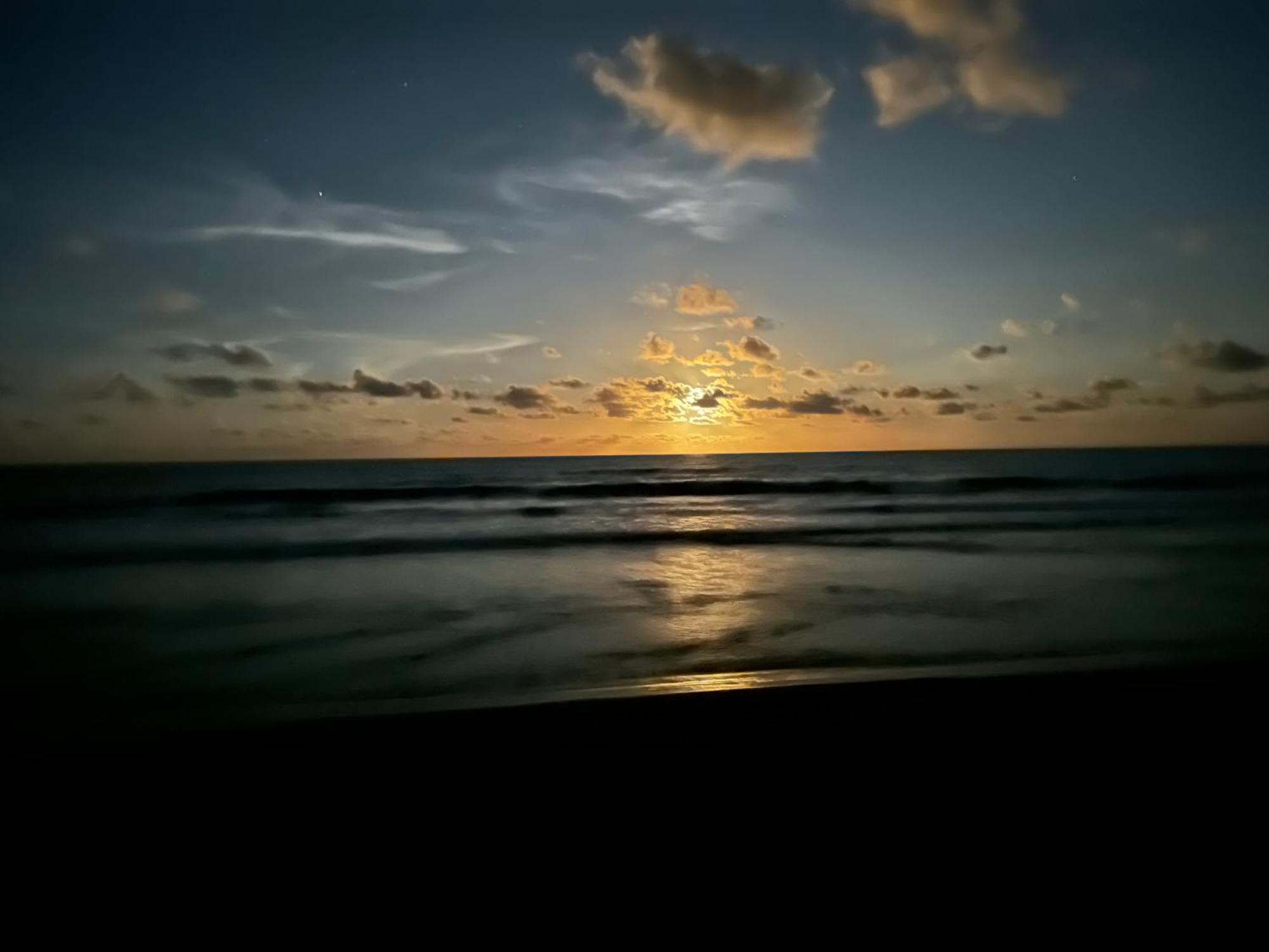 Caribbean View House Hotel Tortuguero Buitenkant foto