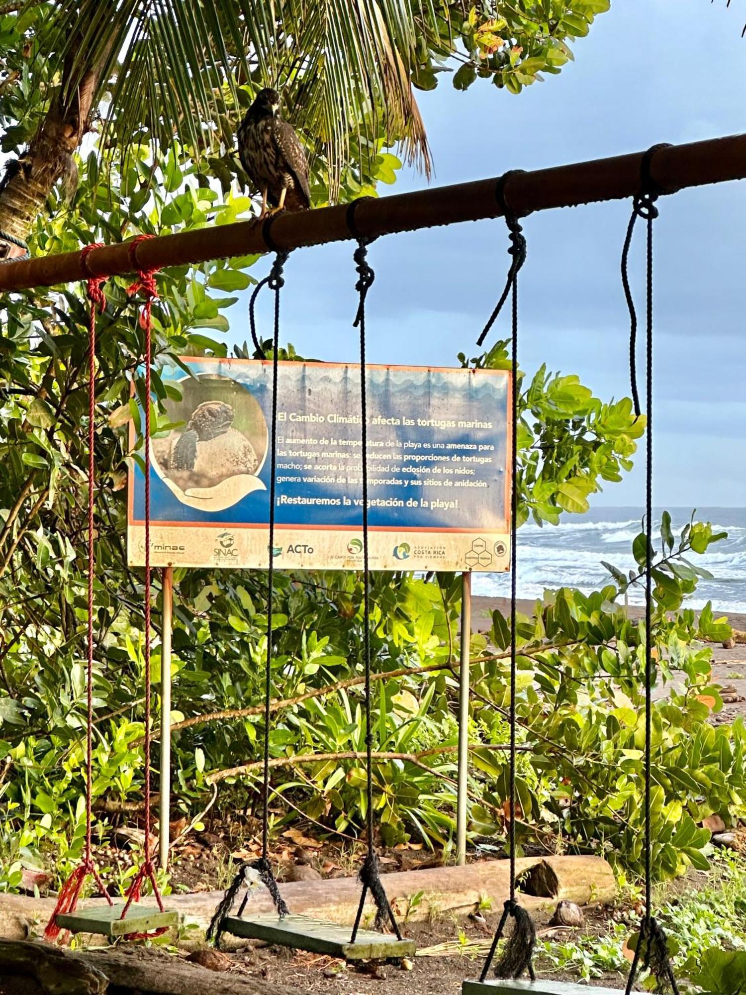 Caribbean View House Hotel Tortuguero Buitenkant foto