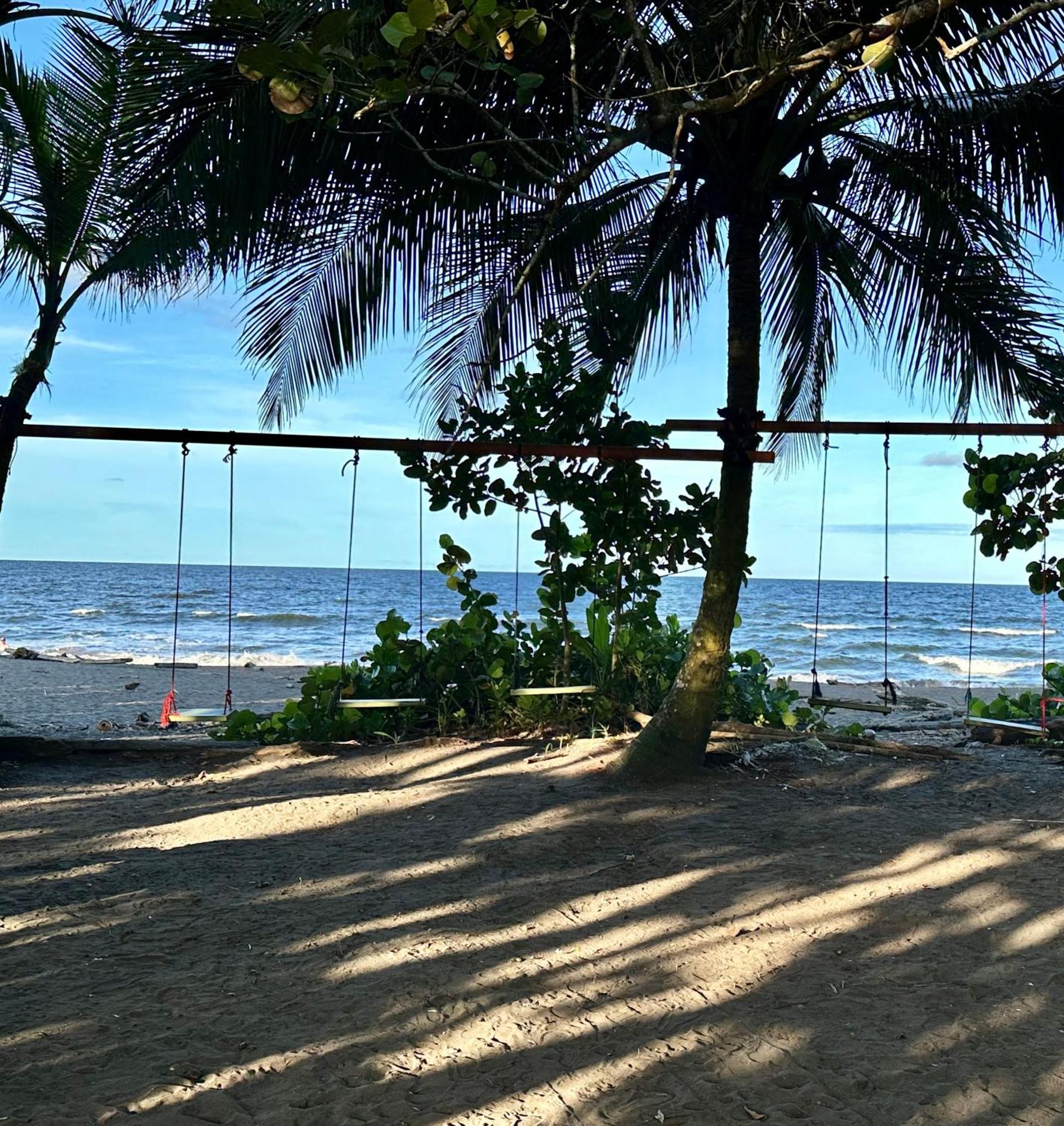 Caribbean View House Hotel Tortuguero Buitenkant foto