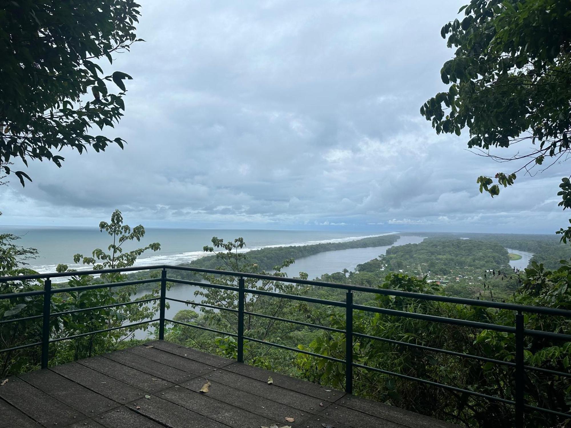 Caribbean View House Hotel Tortuguero Buitenkant foto