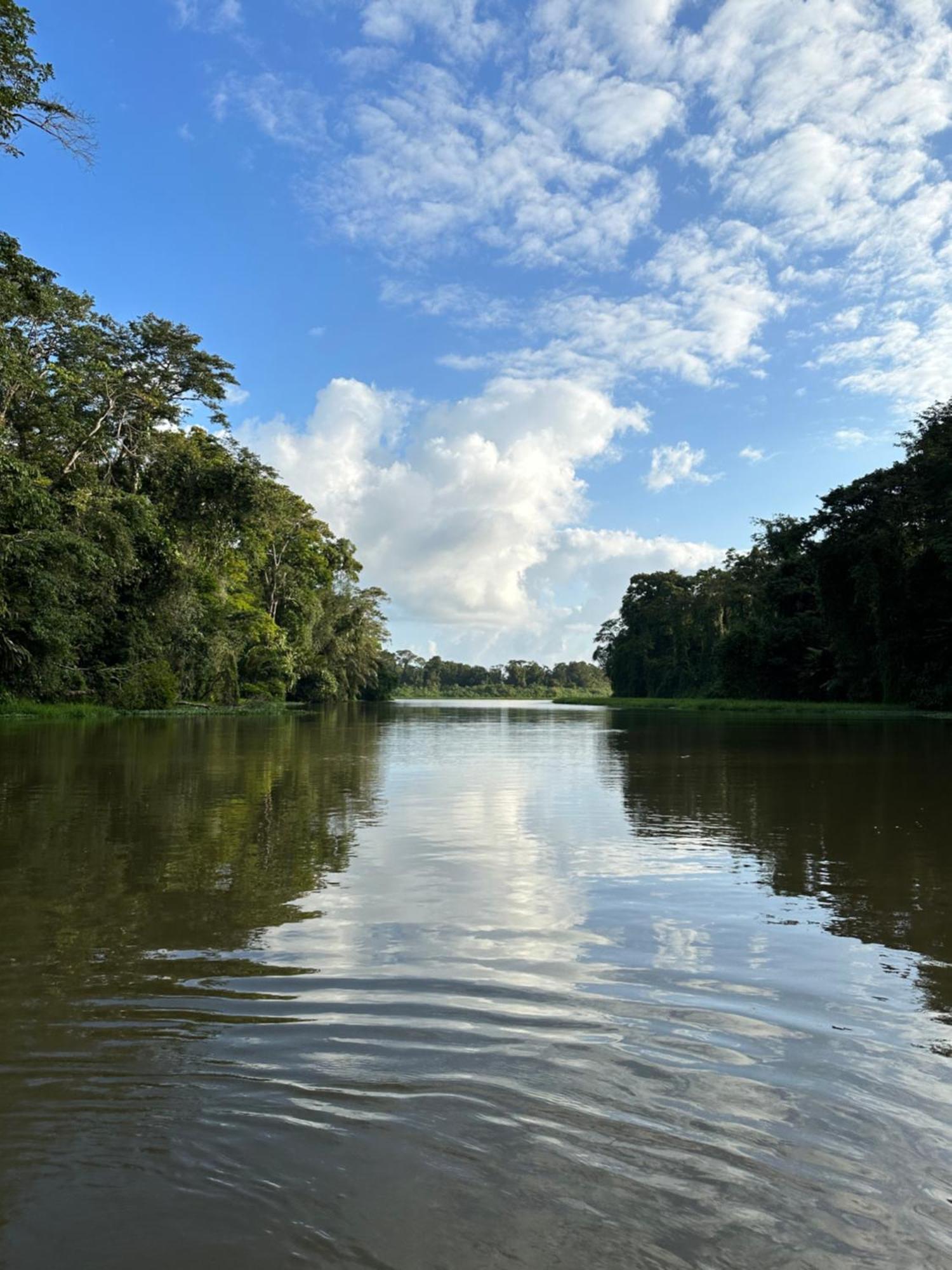 Caribbean View House Hotel Tortuguero Buitenkant foto
