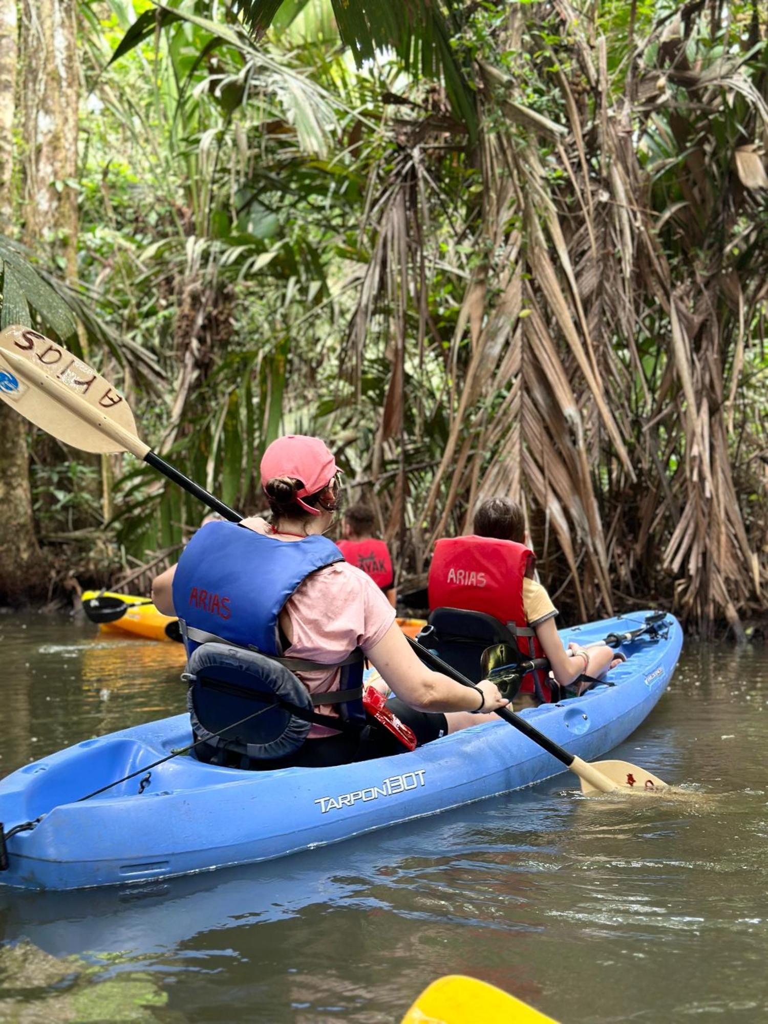 Caribbean View House Hotel Tortuguero Buitenkant foto